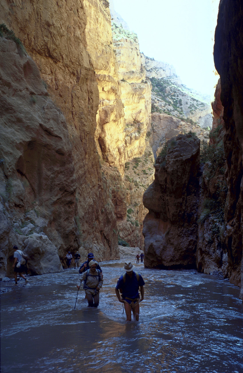 mar98_190 gorges mgoun.jpg - Haut Atlas Central, juin-98 gorges du Mgoun la gorge se rétrécit et le bâton de marche est bien utile pour garder l'équilibre dans le courant Kodak Elite Chrome 100